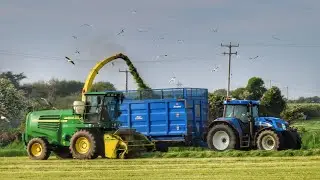 Silage 21! Rochford agri