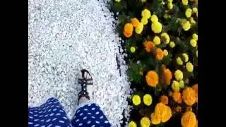 VID 20160606 170105