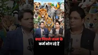 मनुष्य जन्म क्यों है कर्म प्रधान? #pastlifekarma  #karmatheory  #rebirth