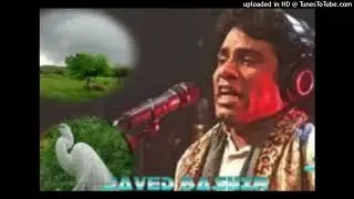 KADI AA MIL SANWAL YAAR WAY - JAVED BASHIR-530