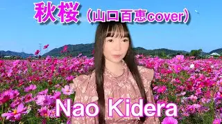 秋桜 -コスモス-（山口百恵）covered by Nao Kidera
