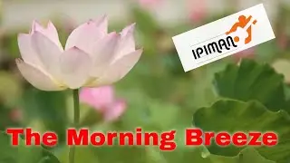Musica soft sottofondo | The Morning Breeze | Ipiman (Strumentale)