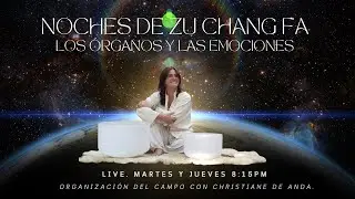 Noches de Zu Chang Fa. Los &oacute;rganos y las emociones. 18.feb.2025. Sesi&oacute;n nfo detox hep&aacute;tico.