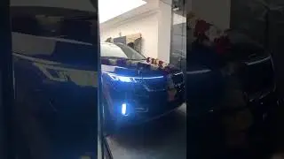 Kia seltos delivery 2021