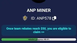ANP ANPOOL Mining Investment Proof of Pay out