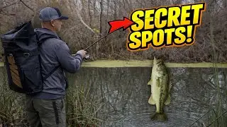 Large Mouth Bass Fishing Lake Boris / Shadow cliffs