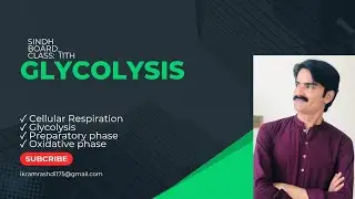 GLYCOLYSIS | RESPIRATION | Bioenergetics | Class first year | MDCAT | Sindh Board