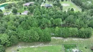 545 County Rd 217, Jacksonville, FL 32234 Hores Farm