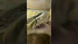 Плоский стеклянный придурок