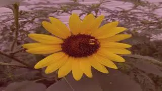 A BASIC CHAKRA MEDITATION: PRAYER & PRACTICE SERIES WITH MARK ANGELO LYONS