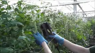 AgriFast Tom-System from LS Systems