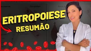 Eritropoiese a Produção de Hemácias de Forma Fácil - Biomedicina - Hematologia Básica