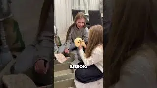 Она думала что осталась без подарка но ошиблась #shorts
