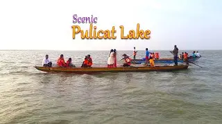 Pulicat Lake Boating ! Amazing view of Pulicat Lake ! Indian's Largest Salt Lake ! Scenic Pulicat