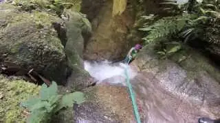 Local Living Ecuador: Amazon Jungle