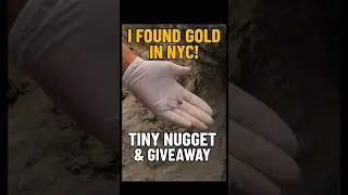 Gold hunting! amazing finding treasure gold nuggets under stone  #metaldetecting #gold #nyc