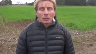 Un capteur connect&eacute; sur son cheval est-ce une bonne id&eacute;e?