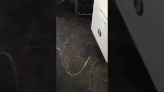HHO Carbon Cleaner