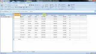 Formatting currency and date /time fields in Ms access
