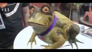 Подборки Приколов от Coub № 19 Best Coub Compilation Funny video 2016