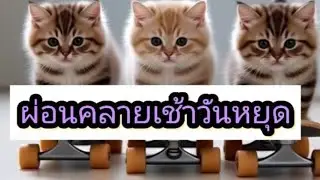 เสาร์นี้ทำอะไรดีนะ ลำหับกินง่าย