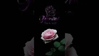Animation for a flower shop