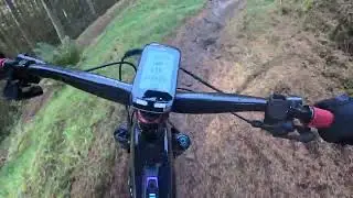 Glentress Red Hit Squad Hill October 2025