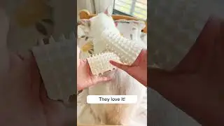 This one tool is changing cat owners lives. #Cats #catstoys #CatOwners #Catbrushes #catcare
