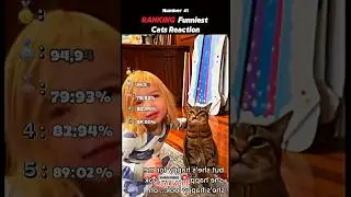 Ranking Funniest Cats Reaction #ranking #funny
