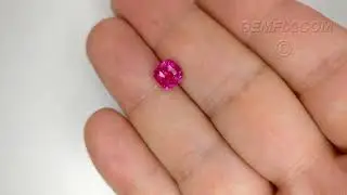 Hot Red Pink Natural Sapphire Cushion | 2.72cts | #13-547