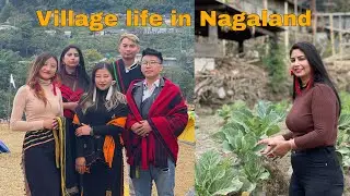 Village Life , Kigwema Village | Lifestyle , Kohima Nagaland |
