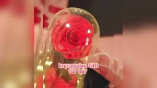 Forever Rose in Glass Dome with Lights - Luxury  Anniversary & Birthday Gifts for Her