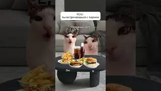 ты встречаешься с парнем #shorts #мем #pov #коты #кот #прикольныекоты