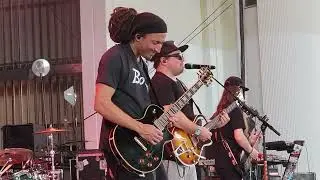 The Elovaters - Sunlight - Live PNC