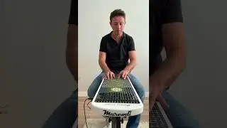 &ldquo;Littleblue&rdquo; on Harpejjig16 #jacobcollier #brandicarlile #marcodi #harpejji #harpejjig16