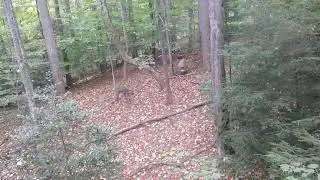 first bow buck on scrubbuster outdoors 2024 season