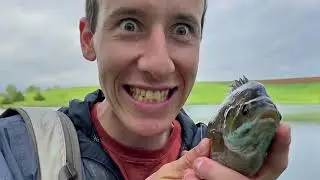 Fly Fishing an Iowa Pond: PONDAYS