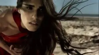 Desert Rose in Horse