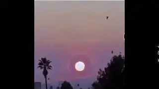 haha sun go BOAICHPOW