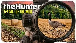 🦌 Bernikla Kanadyjska! [Hirschfelden] 😃 theHunter: Call of the Wild #01 [PL] 👍
