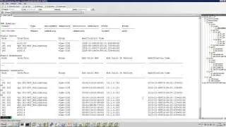 DEMO: Cisco ACI NX-OS CLI - Cisco ACI as a &ldquo;Giant Switch&rdquo;