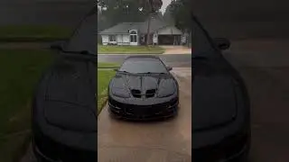 Pontiac #transamws6 #pontiac #alternative#fyp #foryou #cars #lucki #rain