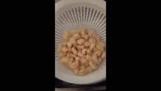 Metalhead cooking pasta | Metalero cocinando pasta