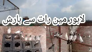 Lahore Main Kal Sari Raat Barish Hoi | Barish Ne Bura Hall Kar Diya | # Chaampigeonclubofficial 