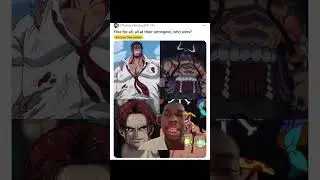 #anime #onepiece #freeforall