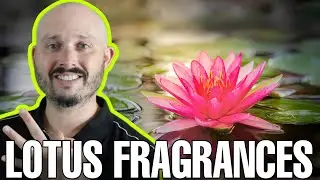 3 GREAT Lotus Fragrances