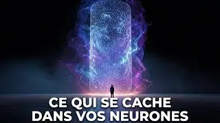 Votre Cerveau n'est pas un Ordinateur!