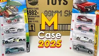 Unbox Hot Wheels 2025 Case M RTH & STH !!!