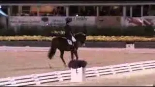 catherineMushroomMatrix.flv