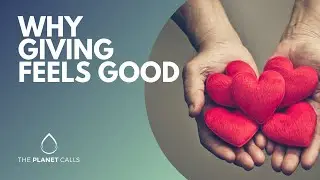 Giving alters brain waves, making you feel good!